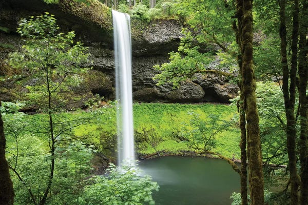 Oregon: Waterfall in a forest IV, Samuel H. Boardman State Scenic Corridor, Pacific Northwest, Oregon, USA by Panoramic Images