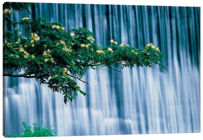Waterfalls, Kamo-River, Kyoto, Japan Canvas Art Print - Kyoto