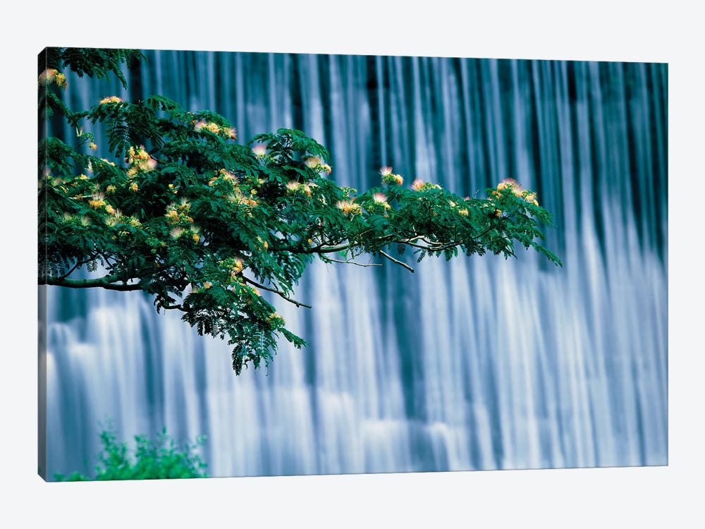 Waterfalls, Kamo-River, Kyoto, Japan by Panoramic Images 1-piece Canvas Wall Art