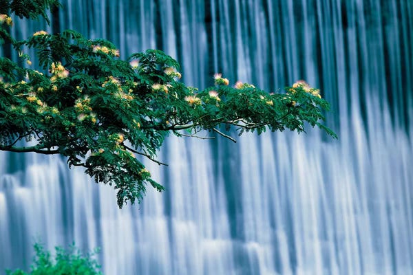 Kyoto: Waterfalls, Kamo-River, Kyoto, Japan by Panoramic Images