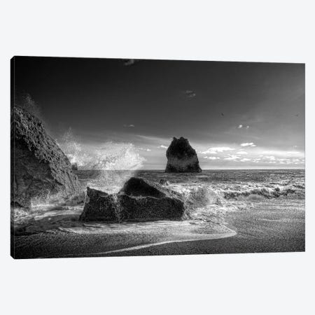 Waves crashing on the beach, Dyrholaey, Iceland Canvas Print #PIM15870} by Panoramic Images Art Print