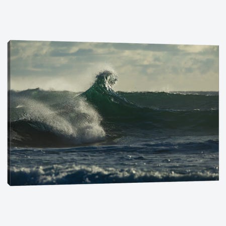 Waves in the ocean, Coral Sea, Surfers Paradise, Queensland, Australia Canvas Print #PIM15871} by Panoramic Images Canvas Art Print