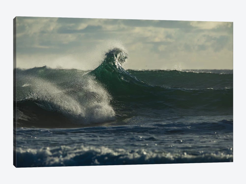 Waves in the ocean, Coral Sea, Surfers Paradise, Queensland, Australia by Panoramic Images 1-piece Canvas Art Print