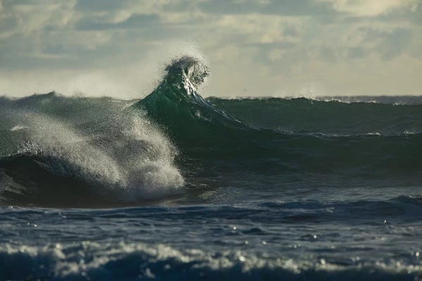 Queensland: Waves in the ocean, Coral Sea, Surfers Paradise, Queensland, Australia by Panoramic Images