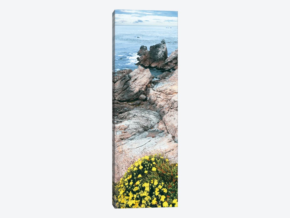 Yellow wildflowers on Pacific Ocean shore, Point Lobos State Natural Preserve, Carmel-By-The-Sea, California, USA by Panoramic Images 1-piece Canvas Art