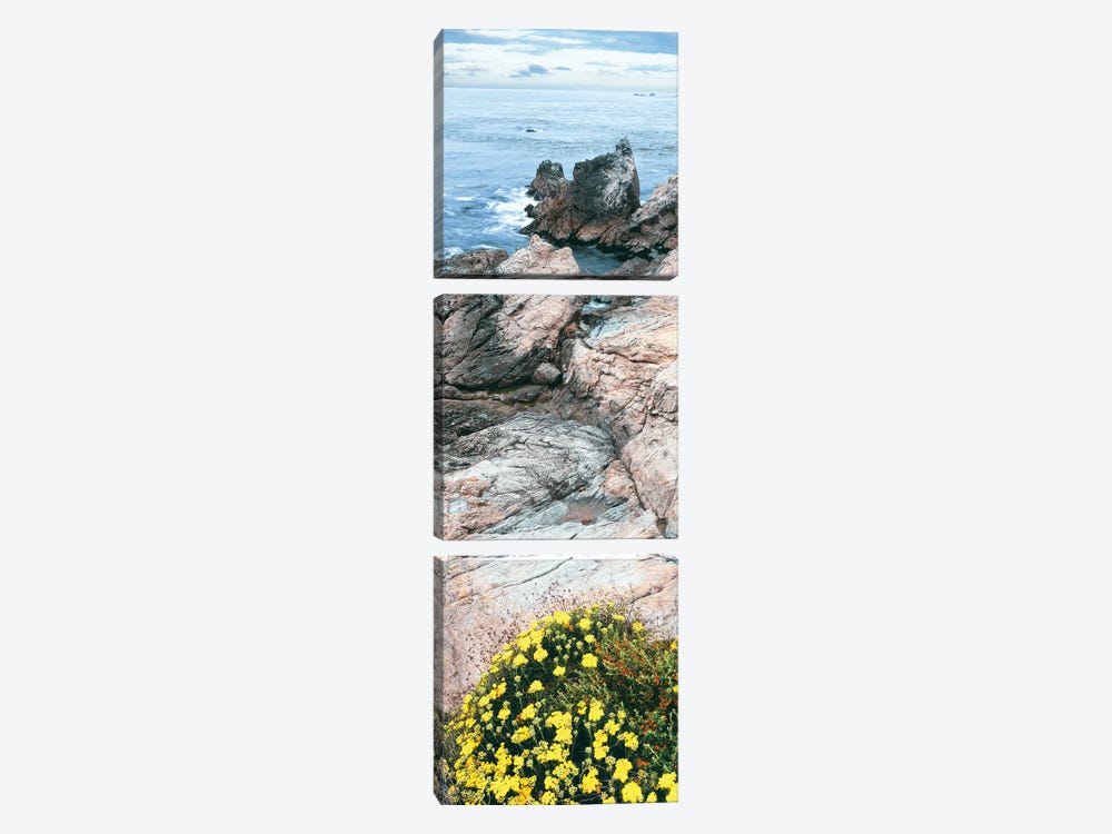 Yellow wildflowers on Pacific Ocean shore, Point Lobos State Natural Preserve, Carmel-By-The-Sea, California, USA by Panoramic Images 3-piece Canvas Art