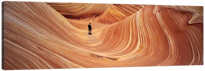 The Wave Coyote Buttes Pariah Canyon AZ/UT USA Canvas Art Print - Utah Art