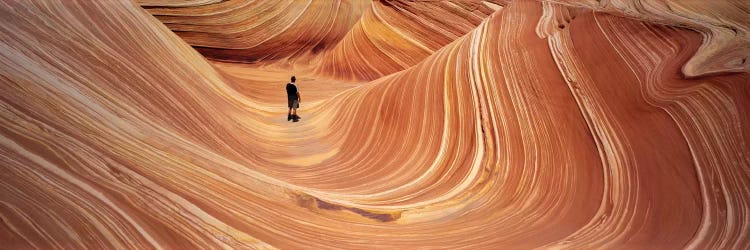 The Wave Coyote Buttes Pariah Canyon AZ/UT USA by Panoramic Images wall art