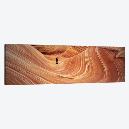 The Wave Coyote Buttes Pariah Canyon AZ/UT USA Canvas Print #PIM1589} by Panoramic Images Canvas Artwork