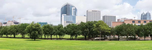 Houston Skylines: Texas Medical Center And Rice University In Houston, Texas, USA by Panoramic Images