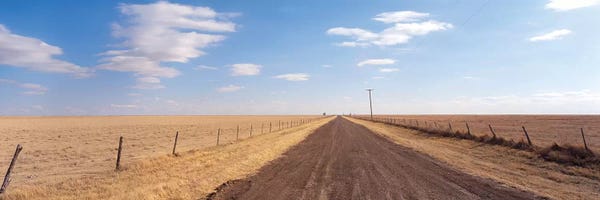 Country Road Passing Through A Landscape, Texas Panhandle, Texas, USA