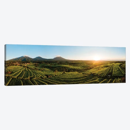Aerial View Of Jatiluwih Rice Terraces, Tabanan, Bali, Indonesia Canvas Print #PIM15910} by Panoramic Images Canvas Wall Art