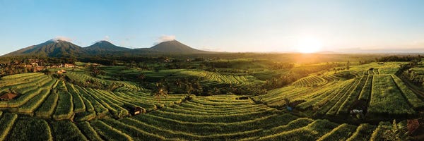 Indonesia: Aerial View Of Jatiluwih Rice Terraces, Tabanan, Bali, Indonesia by Panoramic Images