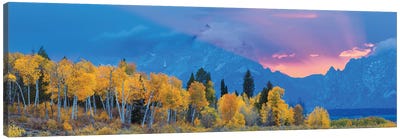 Aspen Tree Forest In Autumn At Sunset And Teton Range, Grand Teton National Park, Wyoming, USA Canvas Art Print - Teton Range
