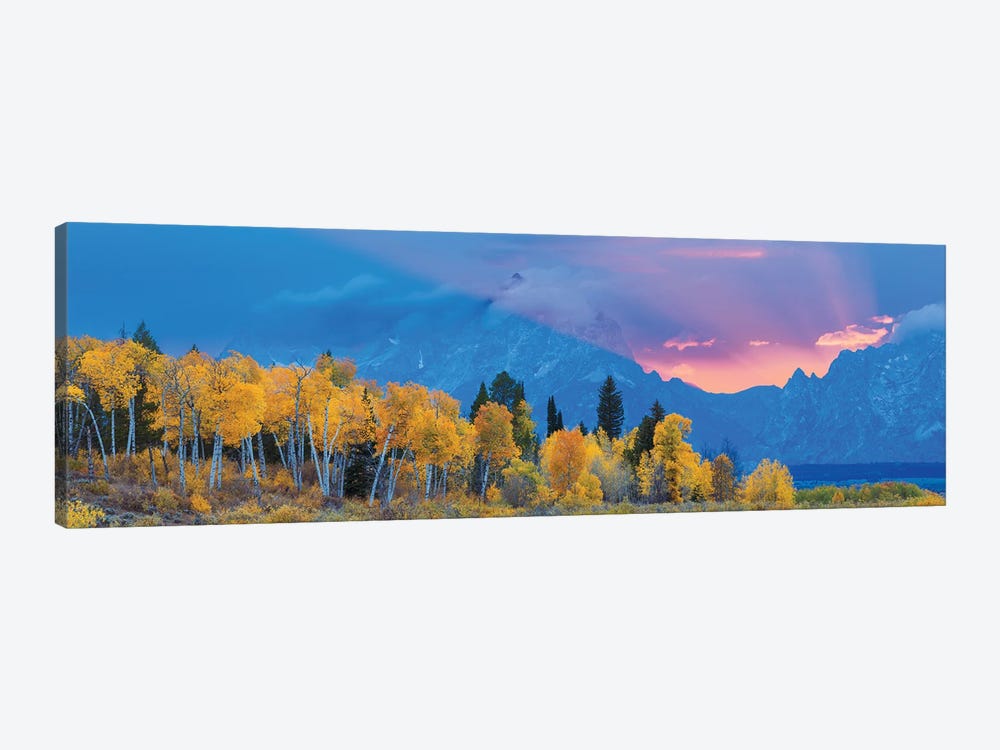 Aspen Tree Forest In Autumn At Sunset And Teton Range, Grand Teton National Park, Wyoming, USA by Panoramic Images 1-piece Canvas Wall Art