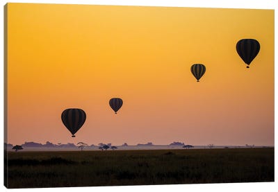 Balloons Flying Over Serengeti National Park, Tanzania, Africa Canvas Art Print - Hot Air Balloon Art