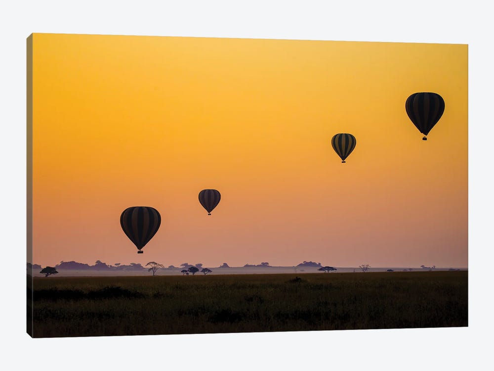 Balloons Flying Over Serengeti National Park, Tanzania, Africa by Panoramic Images 1-piece Art Print