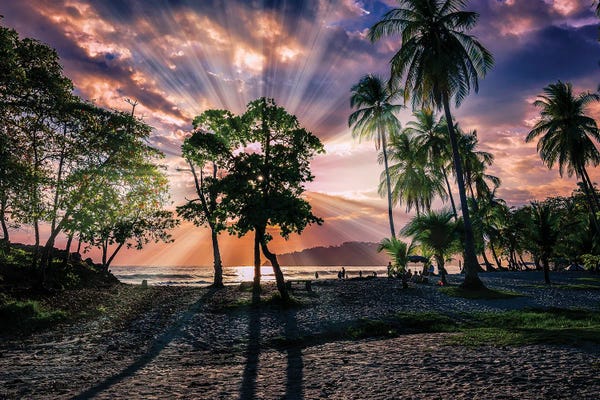 Central America: Beach I, Corcovado National Park, Osa Peninsula, Costa Rica by Panoramic Images