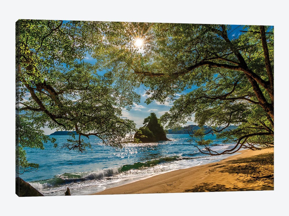 Beach II, Corcovado National Park, Osa Peninsula, Costa Rica by Panoramic Images 1-piece Art Print