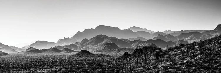 Black And White Landscape With View Of Desert, Baja California Sur, Mexico