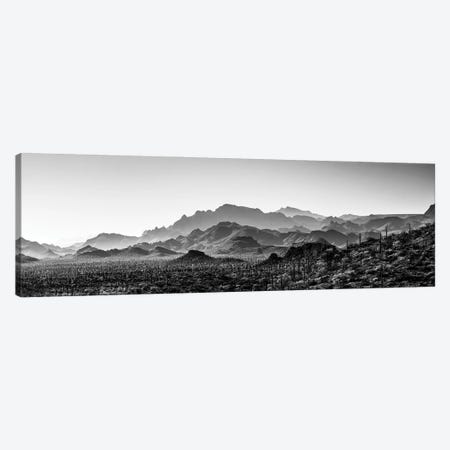 Black And White Landscape With View Of Desert, Baja California Sur, Mexico Canvas Print #PIM15926} by Panoramic Images Canvas Art