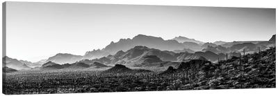 Black And White Landscape With View Of Desert, Baja California Sur, Mexico Canvas Art Print - Mexico Art
