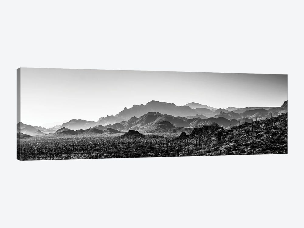 Black And White Landscape With View Of Desert, Baja California Sur, Mexico by Panoramic Images 1-piece Canvas Artwork