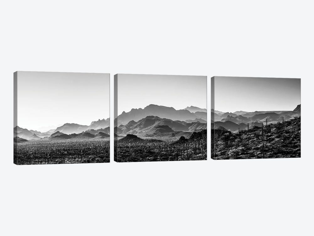 Black And White Landscape With View Of Desert, Baja California Sur, Mexico by Panoramic Images 3-piece Canvas Artwork