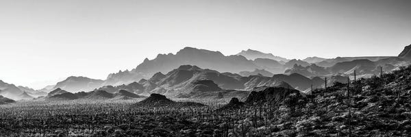 Black And White Landscape With View Of Desert, Baja California Sur, Mexico