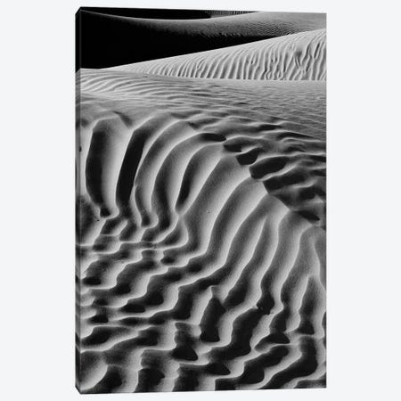 Black And White Landscape With View Of Mesquite Flat Dunes, Death Valley National Park, Mojave Desert, California, USA Canvas Print #PIM15927} by Panoramic Images Canvas Artwork
