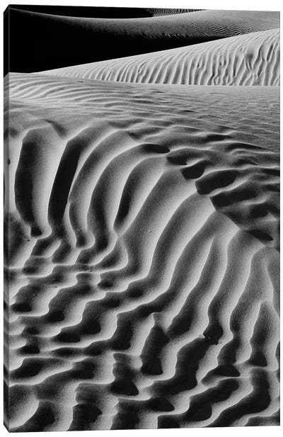 Black And White Landscape With View Of Mesquite Flat Dunes, Death Valley National Park, Mojave Desert, California, USA Canvas Art Print - Death Valley National Park Art