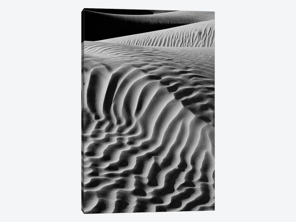Black And White Landscape With View Of Mesquite Flat Dunes, Death Valley National Park, Mojave Desert, California, USA by Panoramic Images 1-piece Canvas Art Print