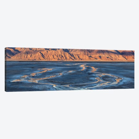 Cottonball Basin Salt Flats, Panamint Range, Death Valley National Park, California, USA Canvas Print #PIM15942} by Panoramic Images Art Print