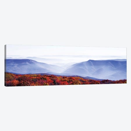 Dolly Sods Wilderness Area, Monongahela National Forest, West Virginia, USA Canvas Print #PIM15944} by Panoramic Images Canvas Wall Art