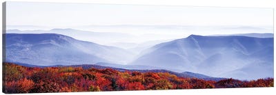 Dolly Sods Wilderness Area, Monongahela National Forest, West Virginia, USA Canvas Art Print - Mountains Scenic Photography