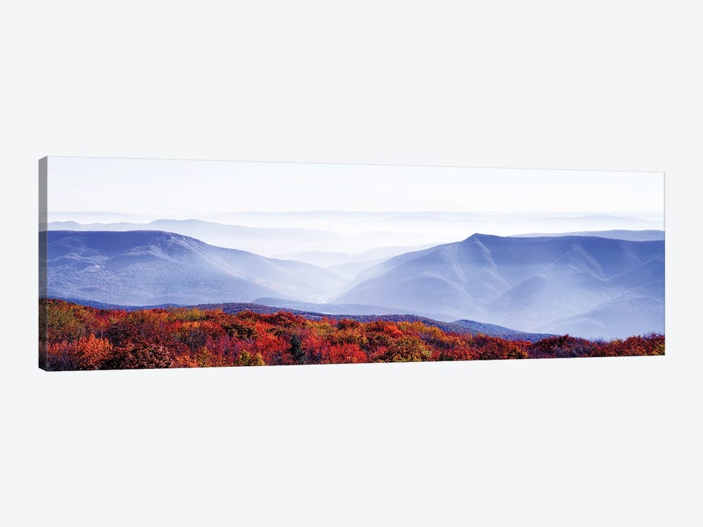 Dolly Sods Wilderness Area, Monongahela National Forest, West Virginia, USA by Panoramic Images 1-piece Canvas Wall Art