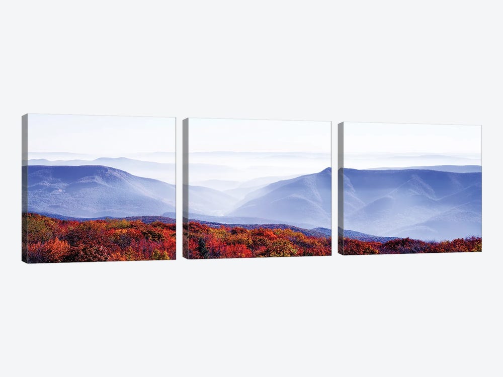 Dolly Sods Wilderness Area, Monongahela National Forest, West Virginia, USA by Panoramic Images 3-piece Canvas Wall Art