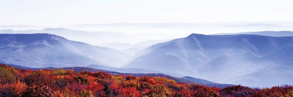 West Virginia: Dolly Sods Wilderness Area, Monongahela National Forest, West Virginia, USA by Panoramic Images