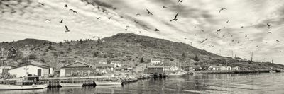 Fishing Boats, Petty Harbor, Avalon Peninsula, Newfoundland Island, Canada by Panoramic Images canvas print