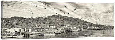 Fishing Boats, Petty Harbor, Avalon Peninsula, Newfoundland Island, Canada Canvas Art Print - Harbor & Port Art