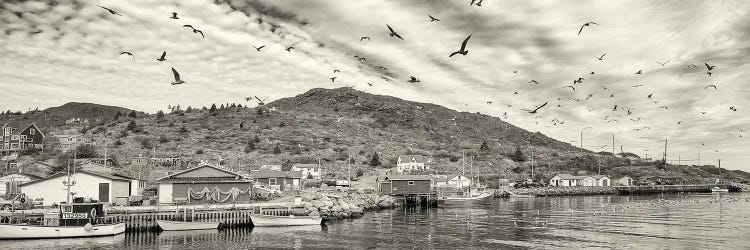 Fishing Boats, Petty Harbor, Avalon Peninsula, Newfoundland Island, Canada