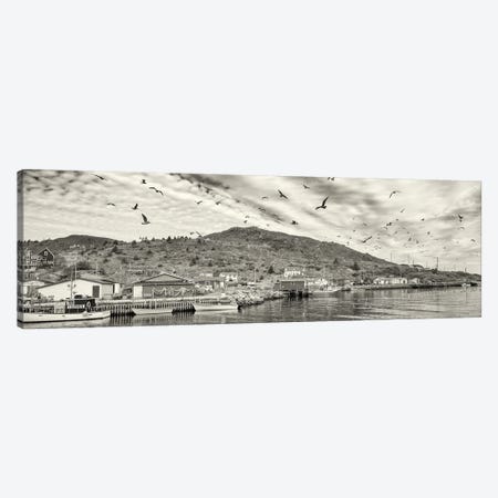 Fishing Boats, Petty Harbor, Avalon Peninsula, Newfoundland Island, Canada Canvas Print #PIM15947} by Panoramic Images Canvas Wall Art