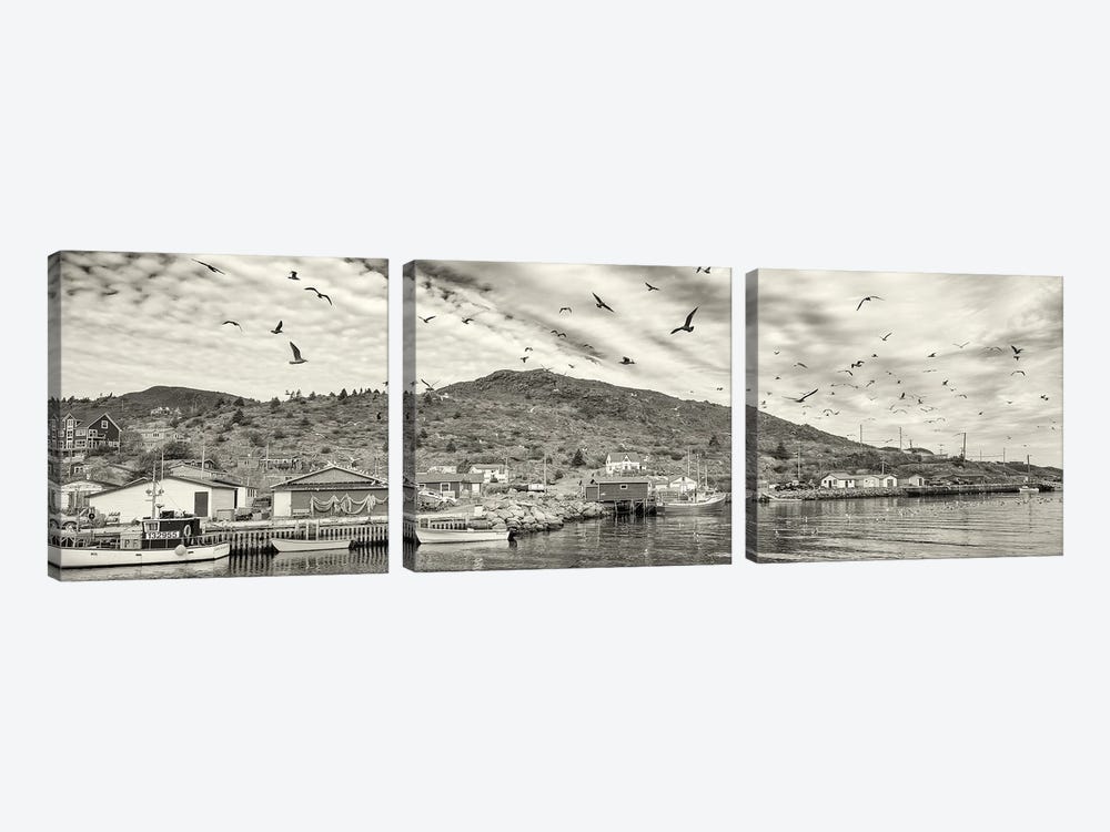 Fishing Boats, Petty Harbor, Avalon Peninsula, Newfoundland Island, Canada by Panoramic Images 3-piece Canvas Print