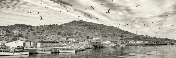 Newfoundland & Labrador: Fishing Boats, Petty Harbor, Avalon Peninsula, Newfoundland Island, Canada by Panoramic Images