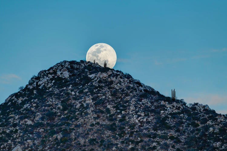 Full Moon Behind Hill In Desert At Sunset, Los Frailes, Baja California Sur, Mexico