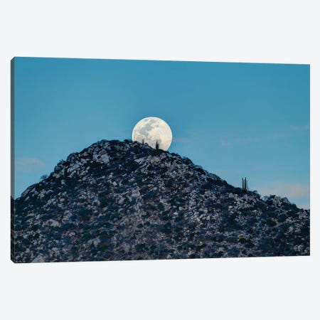 Full Moon Behind Hill In Desert At Sunset, Los Frailes, Baja California Sur, Mexico Canvas Print #PIM15954} by Panoramic Images Canvas Art Print