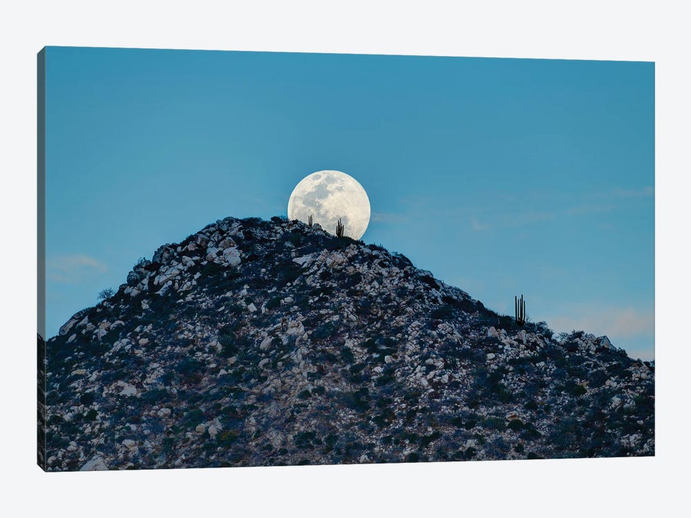 Full Moon Behind Hill In Desert At Sunset, Los Frailes, Baja California Sur, Mexico by Panoramic Images 1-piece Art Print