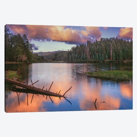 Landscape With Christmas Tree Lake And Evergreen Forest At Sunset, White Mountain Apache Reservation, Arizona, USA Canvas Print #PIM15969} by Panoramic Images Art Print