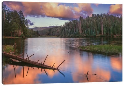Landscape With Christmas Tree Lake And Evergreen Forest At Sunset, White Mountain Apache Reservation, Arizona, USA Canvas Art Print