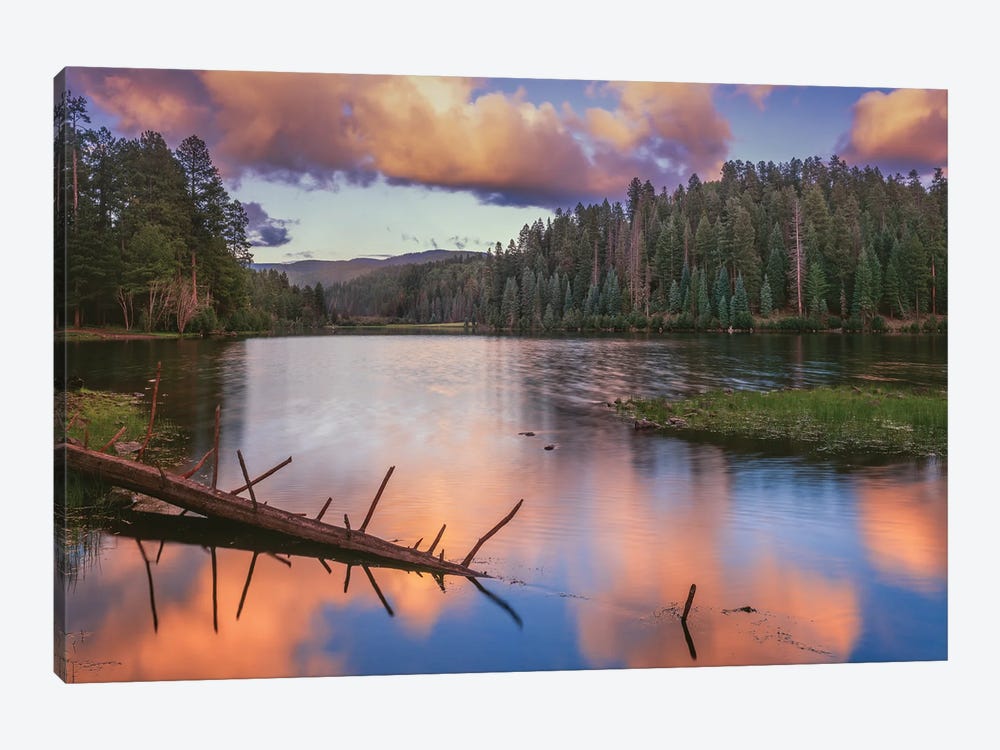 Landscape With Christmas Tree Lake And Evergreen Forest At Sunset, White Mountain Apache Reservation, Arizona, USA by Panoramic Images 1-piece Canvas Art Print